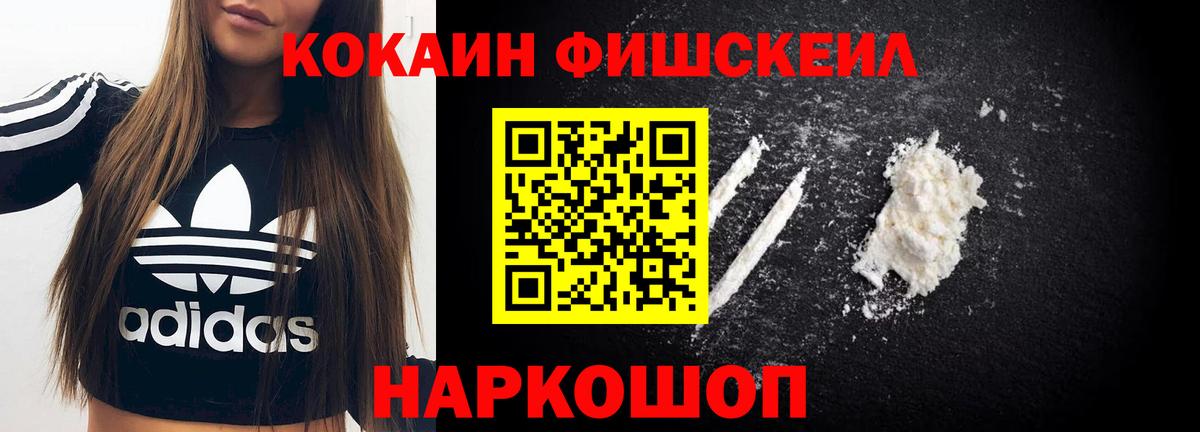 Кокаин FishScale  Вход с VPN  Ставрополь  магазин продажи наркотиков  COCAIN Колумбийский 