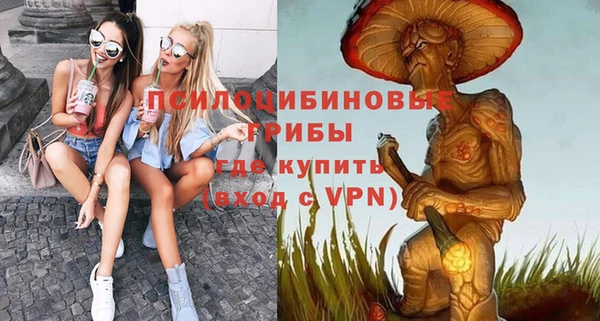 шишки Алексин
