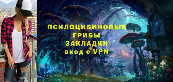 шишки Алексин