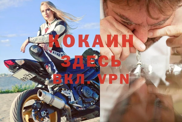 дмт Алзамай