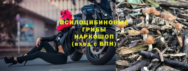 тгк Алексеевка