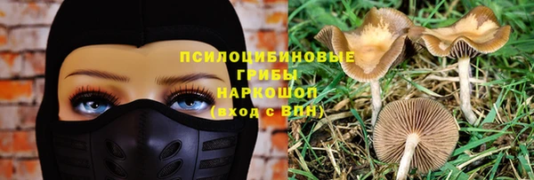 шишки Алексин