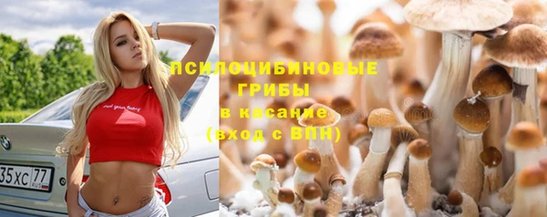 тгк Алексеевка