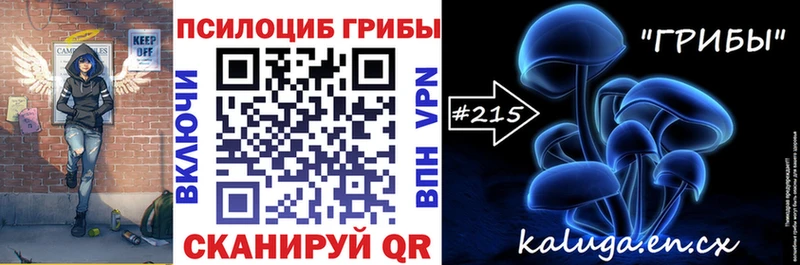 Псилоцибиновые грибы Psilocybine cubensis  Ставрополь 