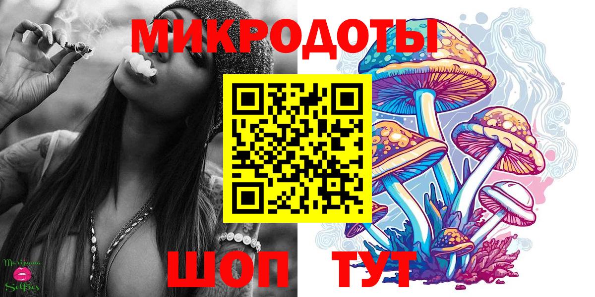 Галлюциногенные грибы Cubensis Ставрополь