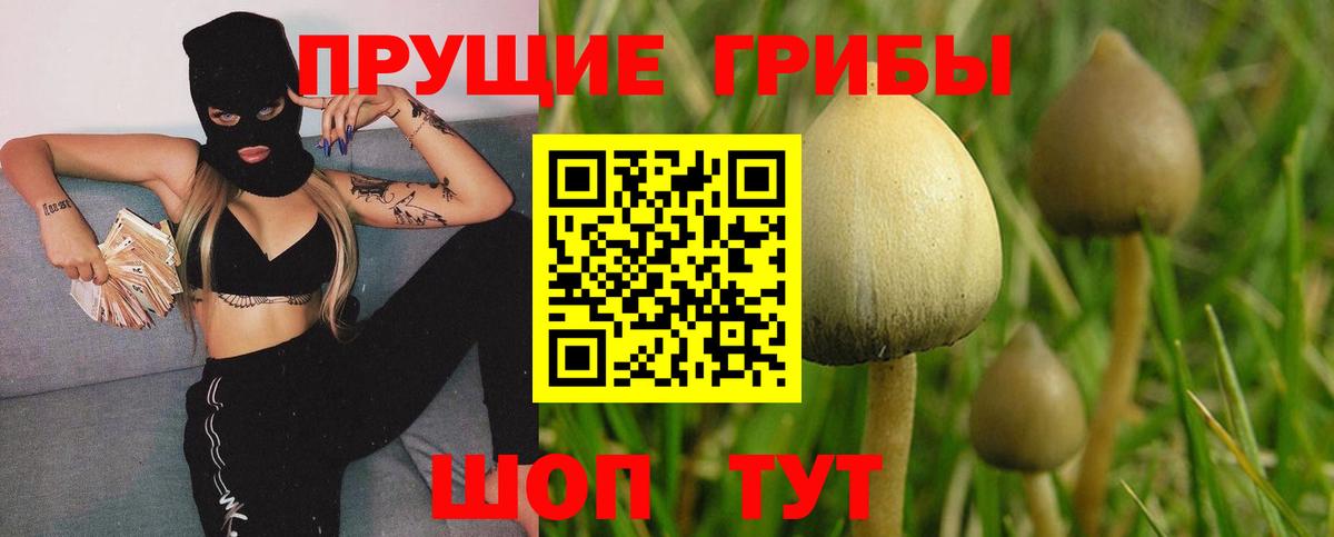 Псилоцибиновые грибы Psilocybe  Вход с VPN  Ставрополь 